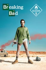 Breaking Bad: Season 1 (2008)