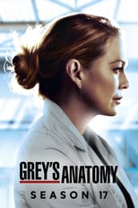 Grey’s Anatomy: Season 17 (2020)