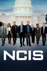 NCIS: Season 20 (2022)