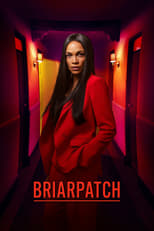 Briarpatch: Season 1 (2020)