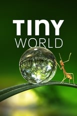 Tiny World: Season 1 (2020)