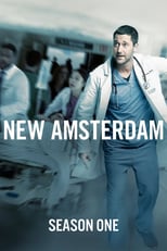 New Amsterdam: Season 1 (2018)