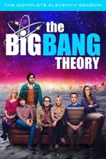 The Big Bang Theory: Season 11 (2017)