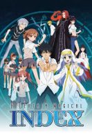 A Certain Magical Index II (2010)