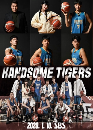 Handsome Tigers (2020)