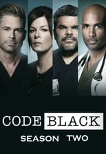 Code Black: Season 2 (2016)