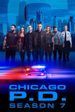 Chicago P.D.: Season 7 (2019)