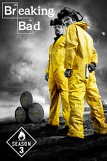 Breaking Bad: Season 3 (2010)