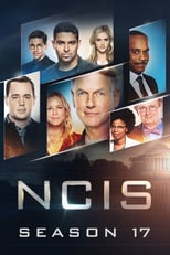 NCIS: Season 17 (2019)