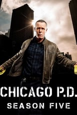 Chicago P.D.: Season 5 (2017)