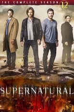 Supernatural: Season 12 (2016)