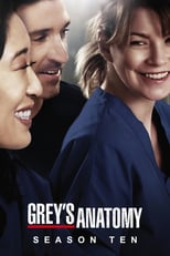 Grey’s Anatomy: Season 10 (2013)