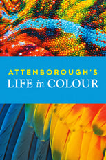 Attenborough’s Life in Colour: Season 1 (2021)