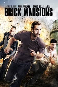 Brick Mansions (2014)