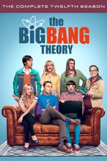 The Big Bang Theory: Season 12 (2018)