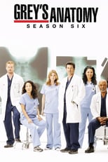 Grey’s Anatomy: Season 6 (2009)