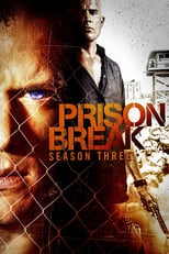 Prison Break: Season 3 (2007)