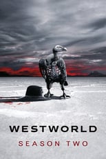 Westworld: Season 2 (2018)